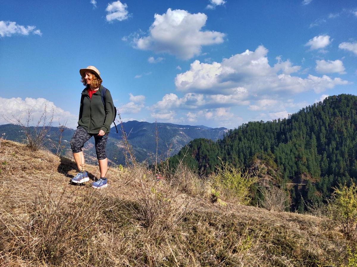 Neha Homestay 西姆拉 外观 照片
