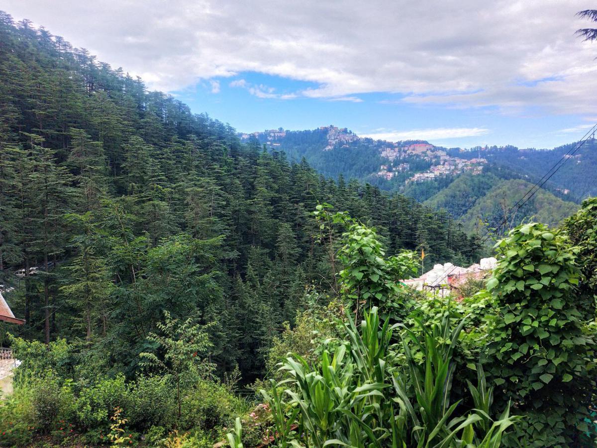 Neha Homestay 西姆拉 外观 照片