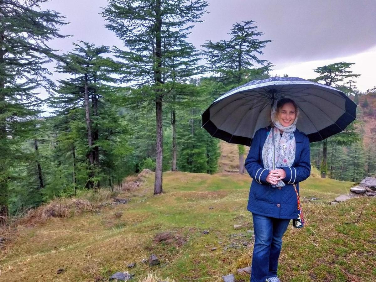Neha Homestay 西姆拉 外观 照片