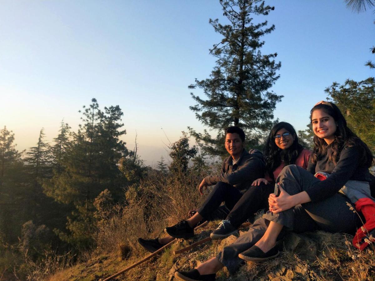 Neha Homestay 西姆拉 外观 照片