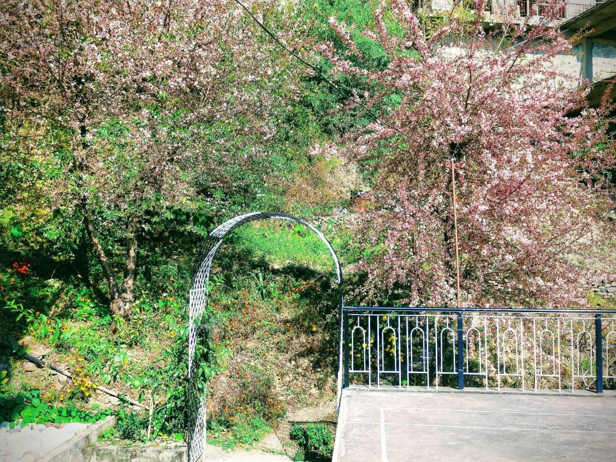 Neha Homestay 西姆拉 外观 照片